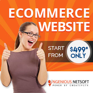 Ingenious Ecommerce Website Packages